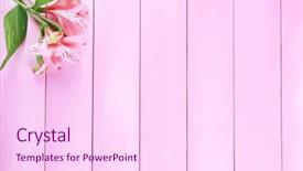  Presentation with flowers - Cool new PPT layouts with beautiful-alstroemeria-flowers-on-wooden backdrop and a pink colored foreground