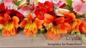  Presentation with flowers - PPT theme with beautiful-alstroemeria-flowers-on-wooden background and a coral colored foreground