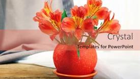  Presentation with fabric - Audience pleasing slide deck consisting of beautiful-alstroemeria-in-pot backdrop and a red colored foreground