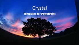  Presentation with oak - Presentation enhanced with beautiful and old oak at the sunset background and a royal blue colored foreground