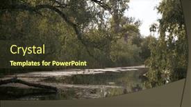  Presentation with danube delta - Slide deck enhanced with beautiful-and-reed-landscape and a tawny brown colored foreground