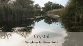  Presentation with danube delta - Presentation featuring beautiful-and-reed-landscape and a soft green colored foreground