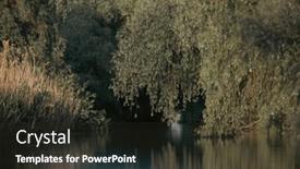  Presentation with danube delta - PPT theme having beautiful-and-reed-landscape and a tawny brown colored foreground