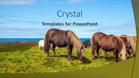  Presentation with tundra - PPT theme enhanced with beautiful-and-well-groomed-icelandic background and a light blue colored foreground