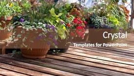  Presentation with beautiful flowers border floral design - Colorful slide deck enhanced with beautiful annual flowers in garden backdrop and a  colored foreground