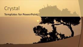  Presentation with morocco - Presentation with beautiful-argan-tree-at-sunset background and a blonde colored foreground