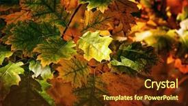  Presentation with falling leaves - Presentation theme enhanced with beautiful autumn background with falling background and a  colored foreground