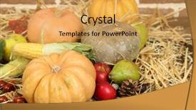  Presentation with straw - Amazing presentation having beautiful autumn composition on straw on bricks wall background backdrop and a yellow colored foreground