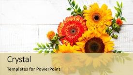  Presentation with white flowers - PPT layouts having beautiful autumn flowers and berries background and a yellow colored foreground