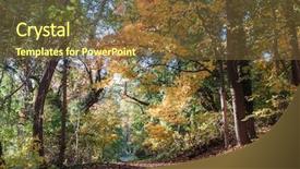  Presentation with united states - Presentation theme enhanced with beautiful autumn forest in rock background and a tawny brown colored foreground