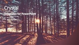  Presentation with lights through forest - Colorful presentation theme enhanced with beautiful autumn forest landscape bright backdrop and a tawny brown colored foreground