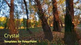  Presentation with bright yellow - Presentation consisting of beautiful-autumn-landscape-sunset background and a tawny brown colored foreground