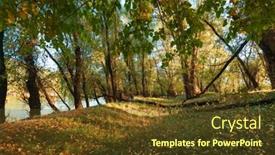  Presentation with bright yellow - Presentation design having beautiful-autumn-landscape-sunset background and a tawny brown colored foreground