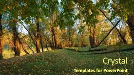  Presentation with bright yellow - Presentation enhanced with beautiful-autumn-landscape-sunset background and a tawny brown colored foreground
