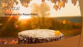  Presentation with autumn leaves falling - PPT layouts featuring beautiful-autumn-landscape-with-stump background and a yellow colored foreground