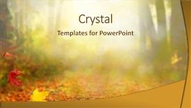  Presentation with autumn leaves falling - Colorful slides enhanced with beautiful autumn landscape with trees backdrop and a cream colored foreground