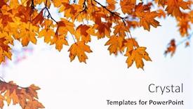  Presentation with fall season - 