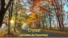 Presentation with road yellow - Amazing slide deck having beautiful-autumn-landscape backdrop and a tawny brown colored foreground