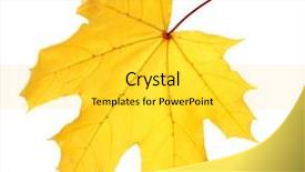  Presentation with beauty beautiful autumn in japanese - Audience pleasing PPT layouts consisting of beautiful autumn leaf on white backdrop and a  colored foreground