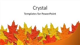  Presentation with beauty beautiful autumn in japanese - Colorful slides enhanced with beautiful autumn leafs on white backdrop and a white colored foreground