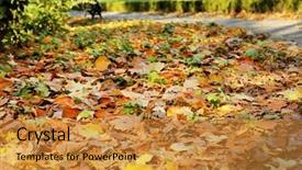  Presentation with tree roots - Audience pleasing PPT layouts consisting of beautiful autumn leaves and tree roots backdrop and a gold colored foreground