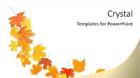  Presentation with autumn leaves - Slides enhanced with beautiful autumn leaves on white background and a white colored foreground