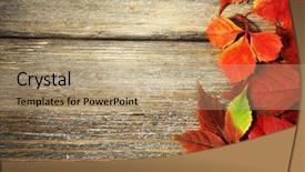  Presentation with autumn leaves - Presentation theme consisting of defoliation - beautiful autumn leaves on wooden background and a coral colored foreground