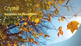  Presentation with autumn blue - Colorful slide deck enhanced with beautiful-autumn-leaves backdrop and a  colored foreground