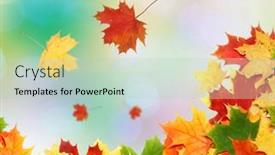  Presentation with maple leaves - 