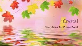  Presentation with maple - 