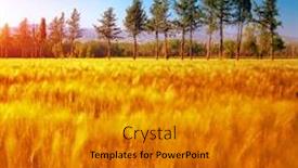  Presentation with clear sunny day rural landscape - PPT layouts consisting of beautiful autumn nature panoramic landscape background and a gold colored foreground