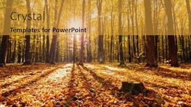  Presentation with autumn - Slide deck consisting of beautiful-autumn-park-forest background and a gold colored foreground