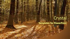  Presentation with autumn - Presentation theme consisting of beautiful-autumn-park-forest background and a tawny brown colored foreground