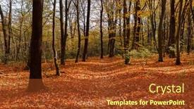  Presentation with autumn - Presentation with beautiful-autumn-park-forest background and a tawny brown colored foreground