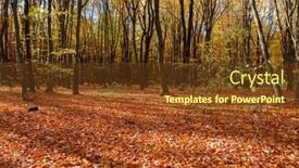  Presentation with autumn - Slide set featuring beautiful-autumn-park-forest background and a tawny brown colored foreground