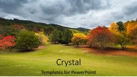  Presentation with trees - Presentation with beautiful autumn trees background and a gold colored foreground