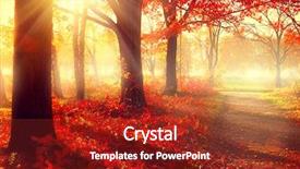  Presentation with foggy - Amazing presentation theme having beautiful autumnal park beauty nature backdrop and a tawny brown colored foreground