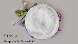  Presentation with pink flowers - Slides consisting of beautiful-backdrop-for-newborn-photosession background and a light gray colored foreground