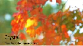  Presentation with fall - Slide deck consisting of beautiful background of blured colorfull background and a gold colored foreground