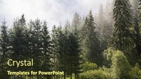  Presentation with beautiful green - Colorful PPT layouts enhanced with beautiful-background-of-green-meadow backdrop and a tawny brown colored foreground