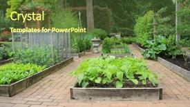  Presentation with vegetable garden - PPT theme featuring beautiful backyard organic vegetable garden background and a tawny brown colored foreground