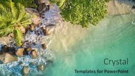 Presentation with beach rocks - PPT layouts having beautiful-beach-with-palm-tree background and a seafoam green colored foreground
