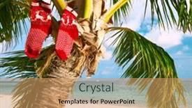  Presentation with palm tree - PPT layouts featuring beautiful-beach-with-palm-tree background and a  colored foreground