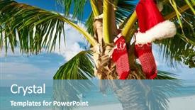  Presentation with beach palm tree wedding - Theme with beautiful beach with palm tree background and a  colored foreground