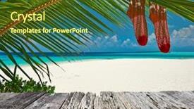  Presentation with beach palm tree wedding - Audience pleasing presentation theme consisting of beautiful beach with palm tree backdrop and a  colored foreground