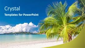  Presentation with palm tree - Colorful slide deck enhanced with beautiful-beach-with-palm-tree backdrop and a ocean colored foreground