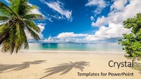  Presentation with beach palm tree wedding - Amazing slide set having beautiful beach with palm tree backdrop and a  colored foreground