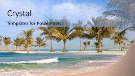  Presentation with palm tree - Cool new theme with beautiful beach with palm tree backdrop and a light blue colored foreground