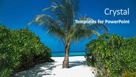  Presentation with white sand - PPT theme consisting of beautiful-beach-with-white-sand background and a ocean colored foreground