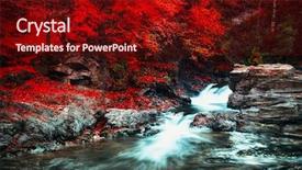  Presentation with forest stream - Audience pleasing slide deck consisting of beautiful beech forest mountain backdrop and a  colored foreground